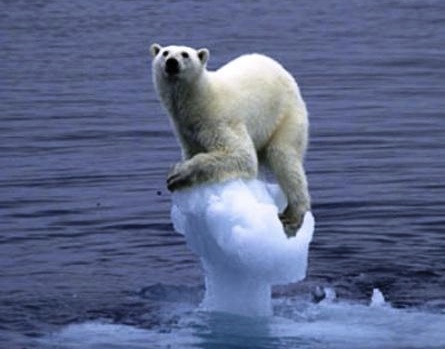 polar-bear-global-warming-slideshow.jpg