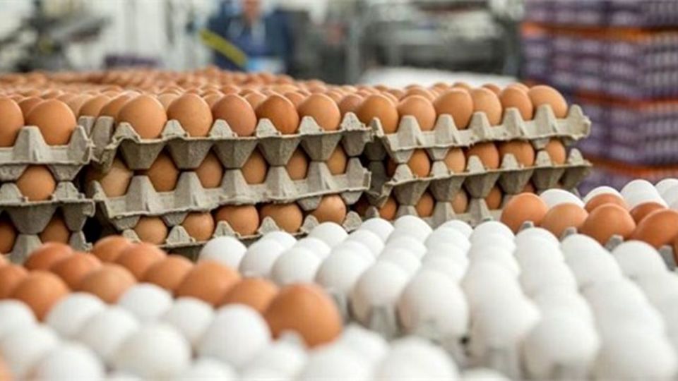 افزايش قيمت تخم مرغ در بازار (يکشنبه 25 مهر)