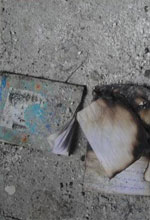 عکس خبري -تصاوير/ آتش‌سوزي در مدرسه دخترانه پيرانشهر 