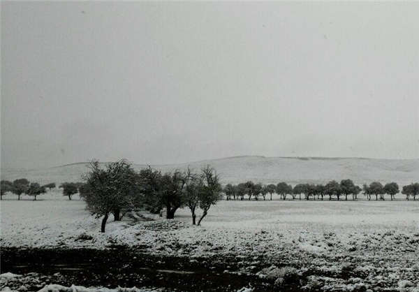 عکس خبري -بام ايران  سفيدپوش شد 