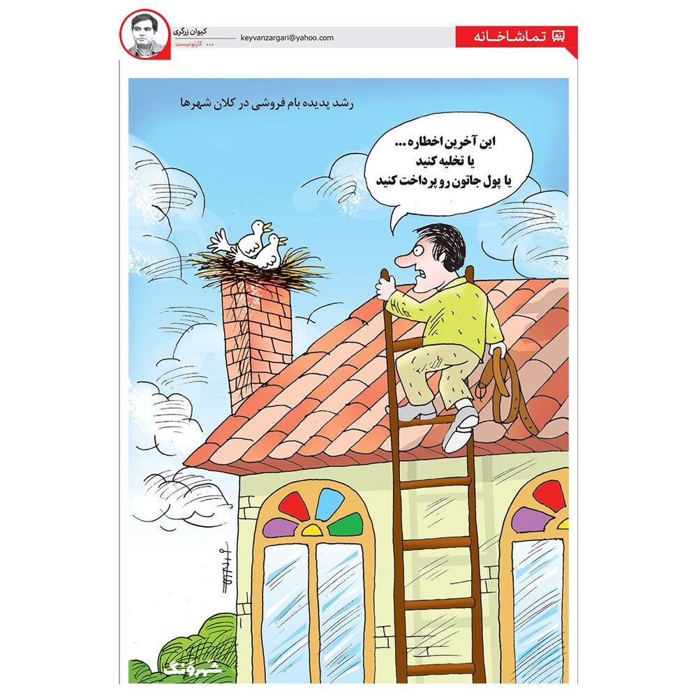 عکس خبري -رشد پديده پشت بام فروشي در تهران! + کاريکاتور