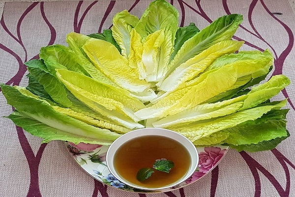 عکس خبري - خواص متعدد سکنجبين و کاهو را ناديده نگيريد