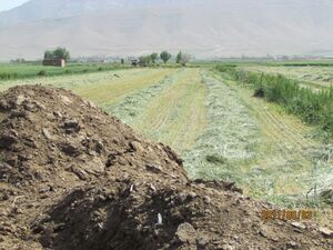 عکس خبري -بورس بازان حواسشان به اين نکته مهم باشد