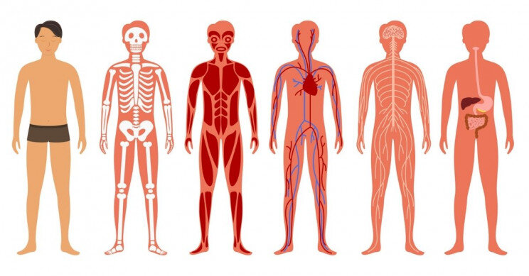 عکس خبري - 10 حقيقت جالب درباره بدن انسان!